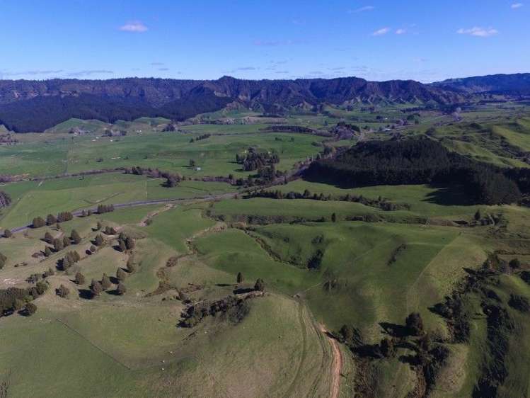 2286 State Highway 3 Mahoenui_8