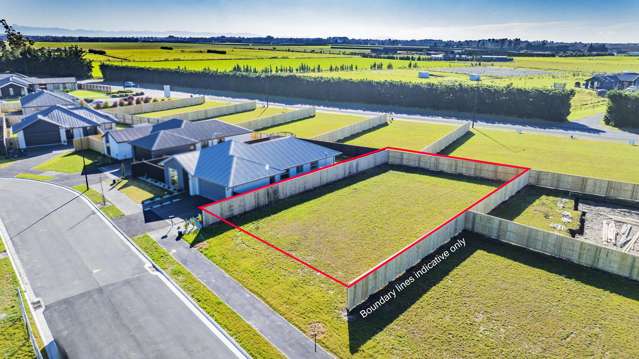 Super sunny section!