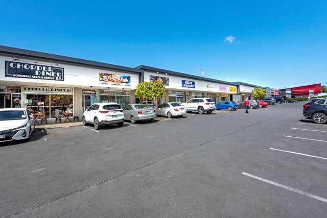 PRIME NORTH SHORE RETAIL INVESTMENT