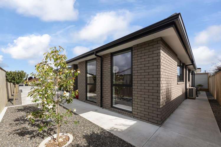 30A Graham Street Levin_25