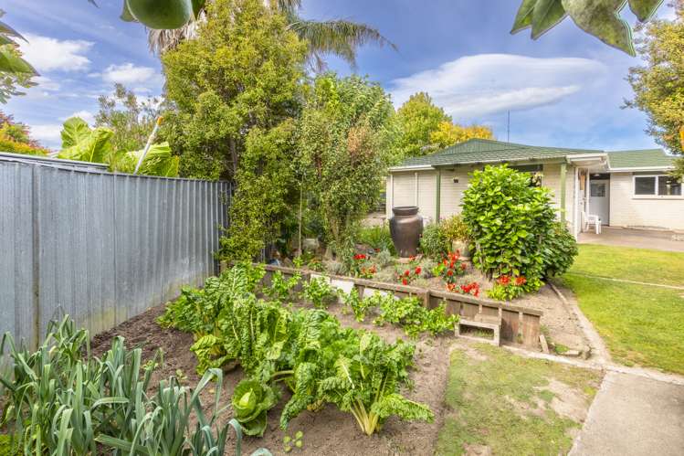 13 Mckeefry Avenue Greenmeadows_12