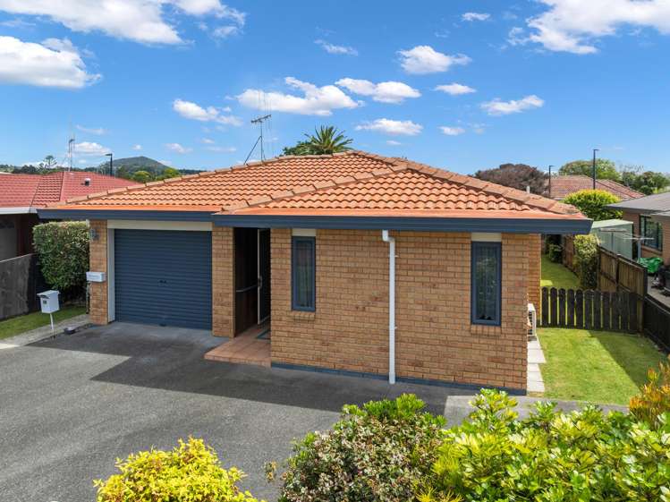 16 Simons Street Kensington_1