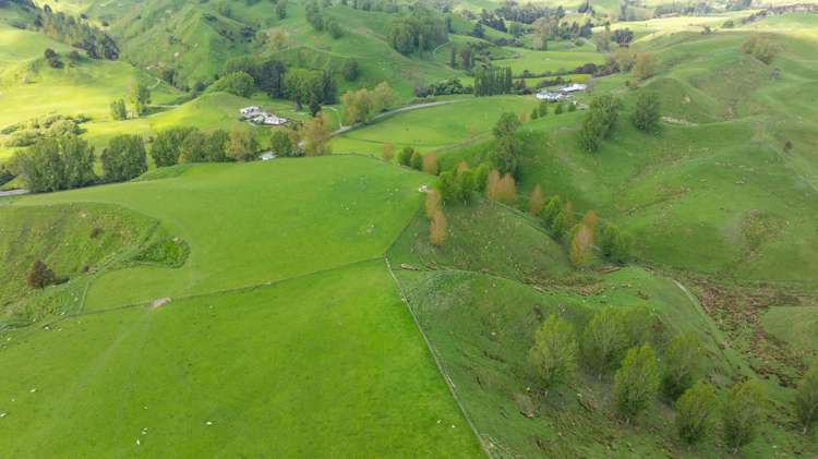 1163 Mangamako Road Ohingaiti_36