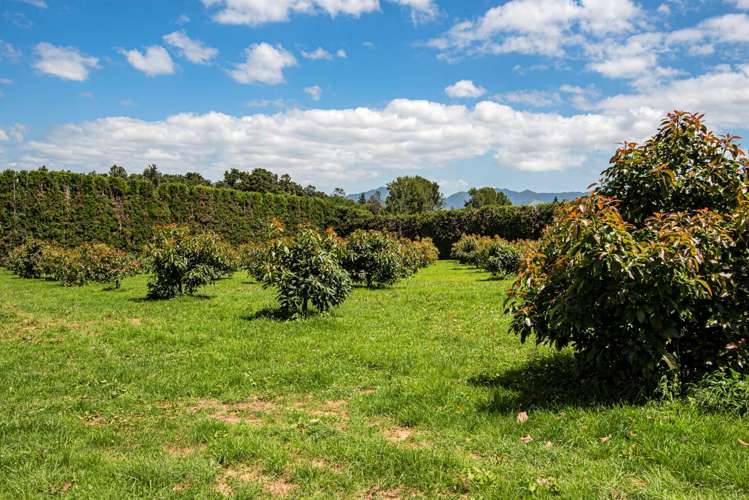 1700 State Highway 14 Maungatapere_14