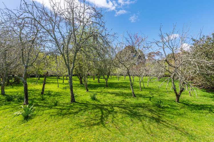 35 Whelans Road Levin_8