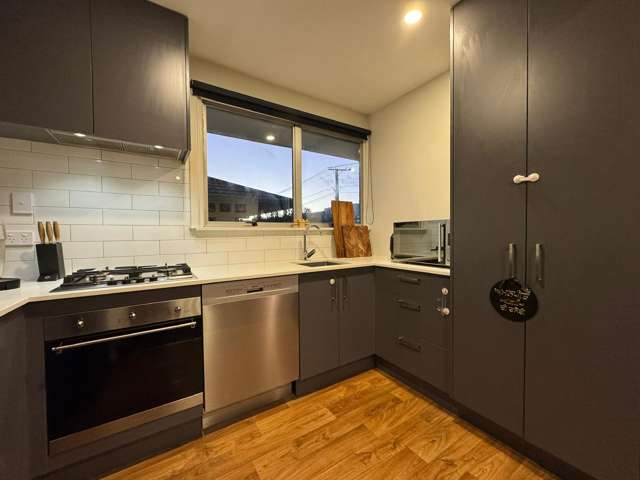 44 Athelstan Street Spreydon_3