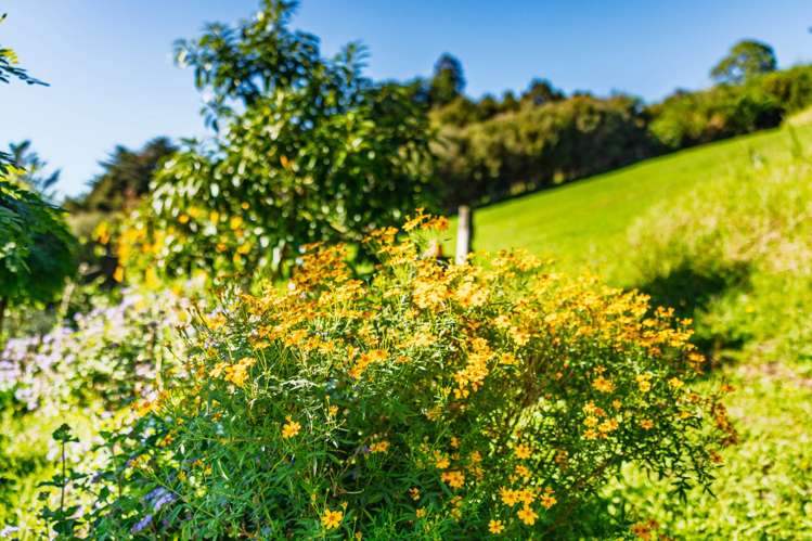 22 Onekura Road Kerikeri_31