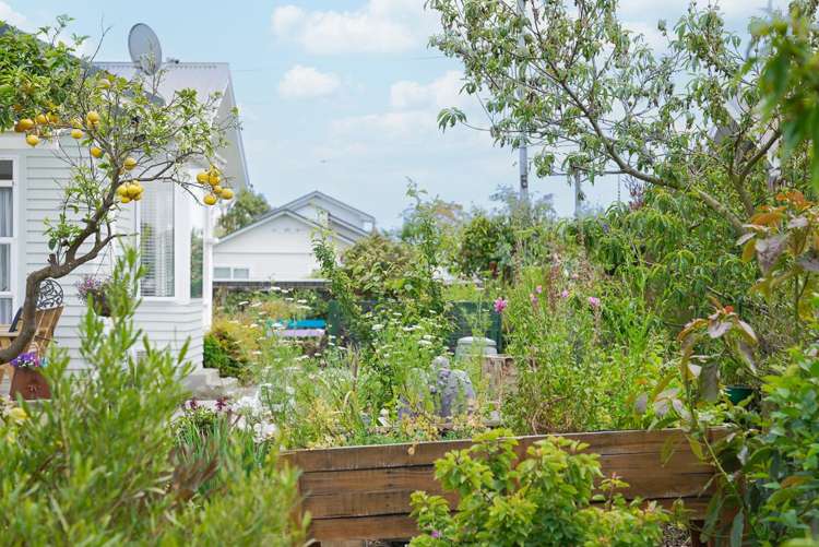 30 Aotaki Street Otaki_26