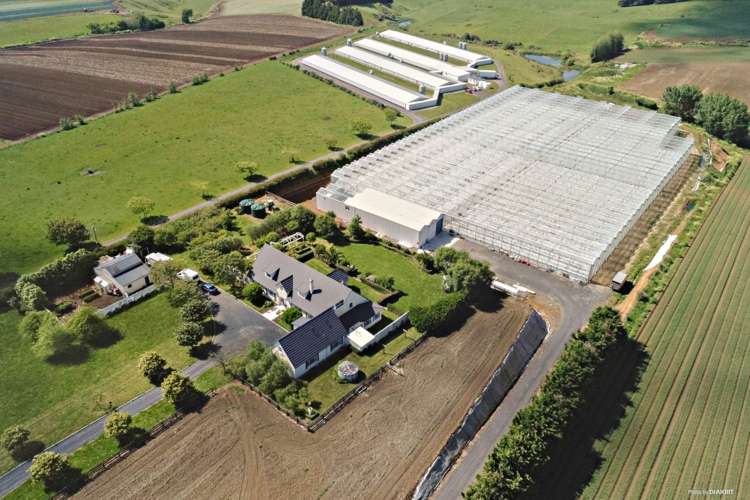 377 Mercer Ferry Road Mercer_0