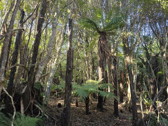 Bushclad Section Close to Town