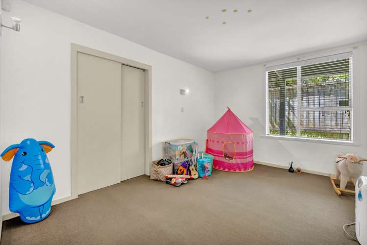 38 Gladstone Road Parnell_8