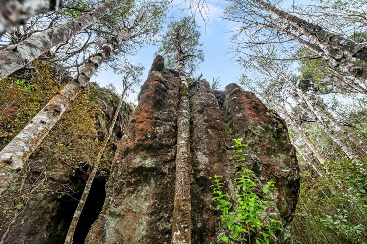 105 Our Road Whangarei Heads_49