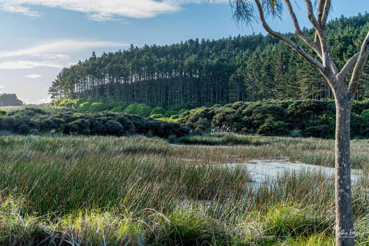 70 Rototuna Rd Pouto_44