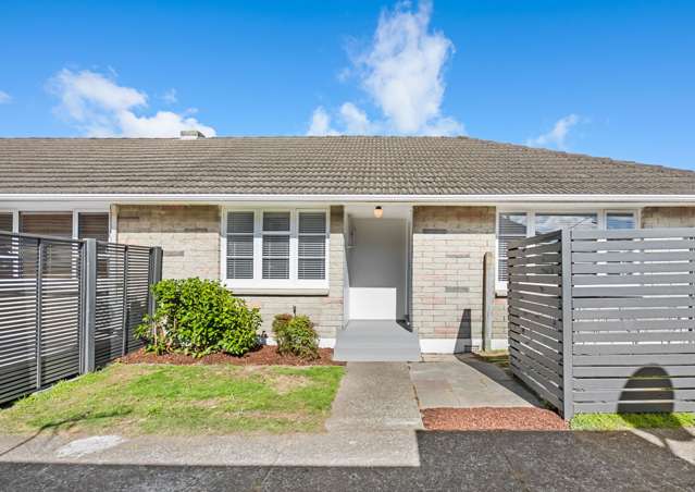 12A Nelson Street Petone_1