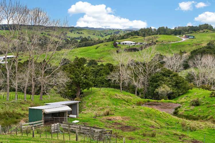 63 Porter Road Paparoa_15