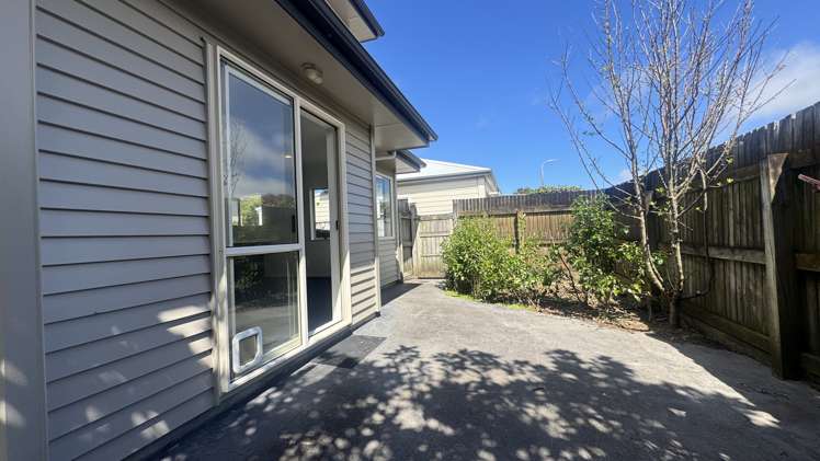 10 Trafalgar Street Johnsonville_12