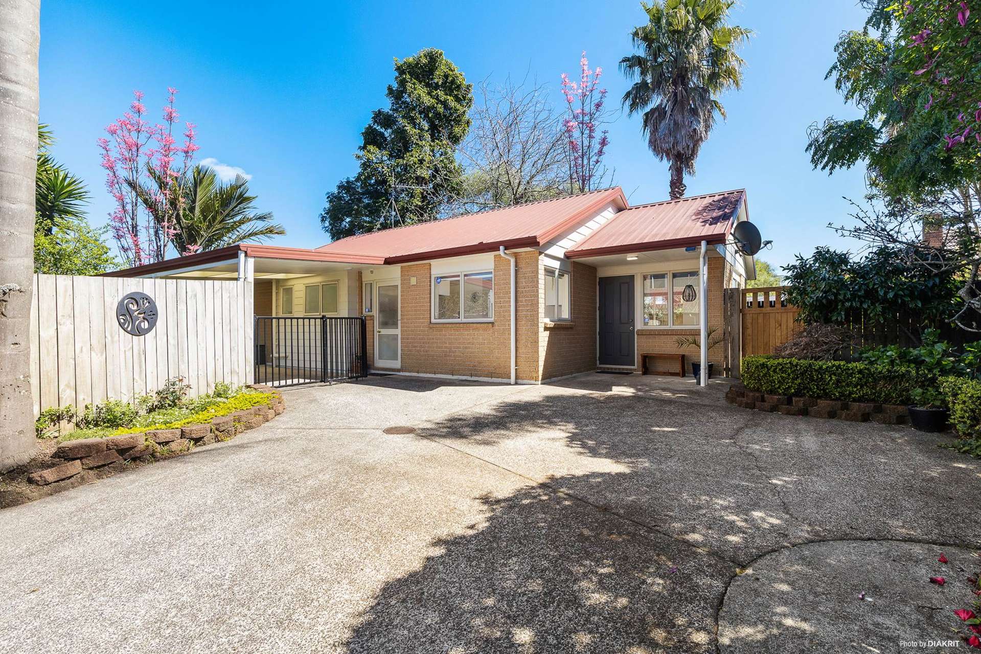 20D Madill Street Tuakau_0