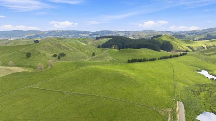 447 Pinfold Road Papatawa_11