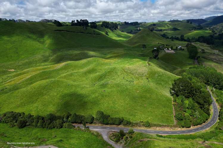 1911 Tutukau Road Wairakei and Surrounds_2