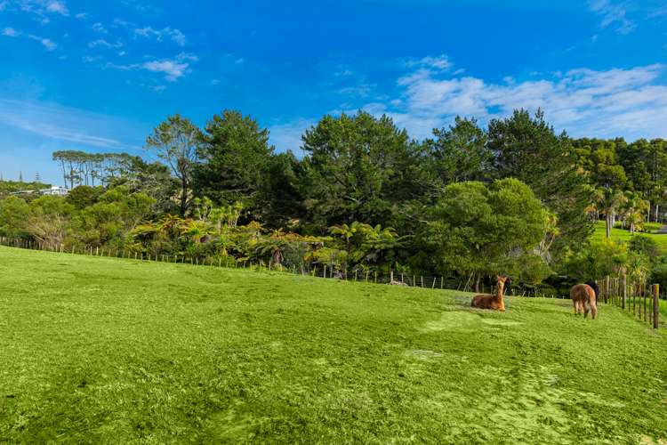 98 Wake Road Coatesville_13