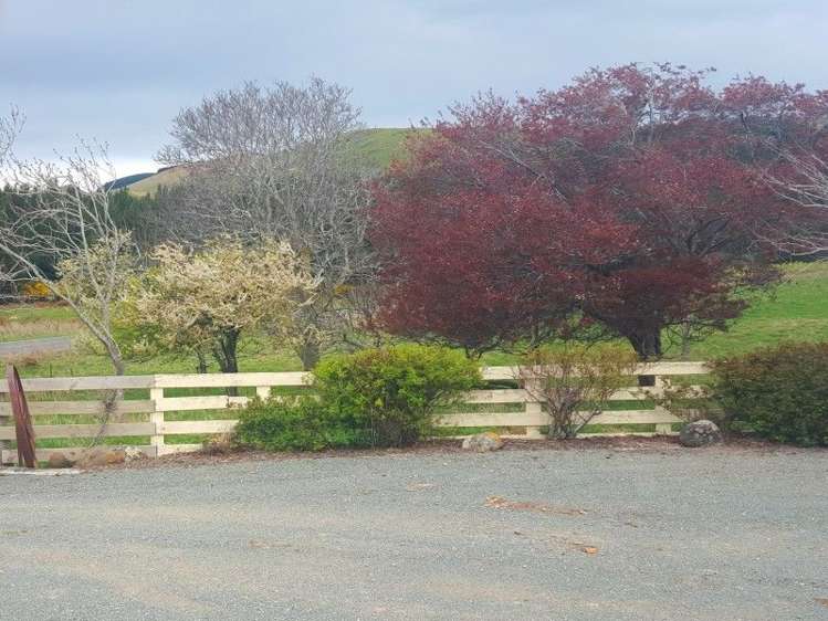 3997 Old Coach Road Clinton and Surrounds_16