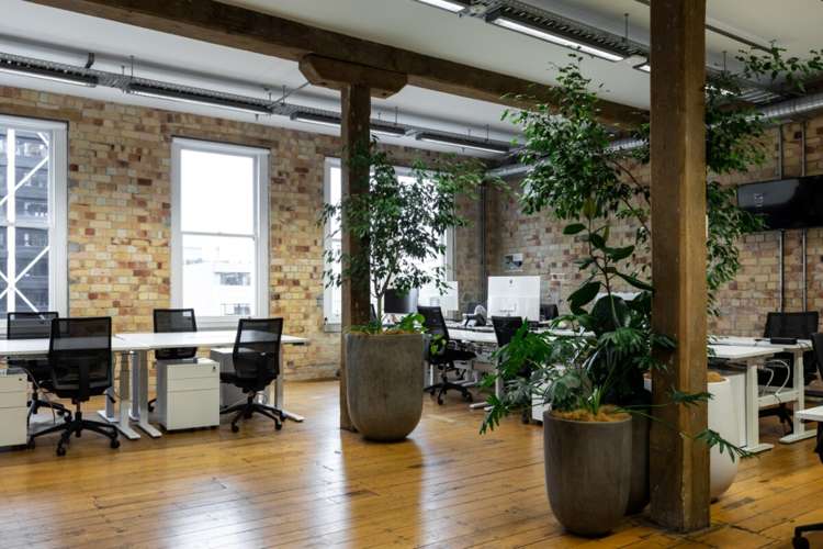 22-28 Customs Street East City Centre_1