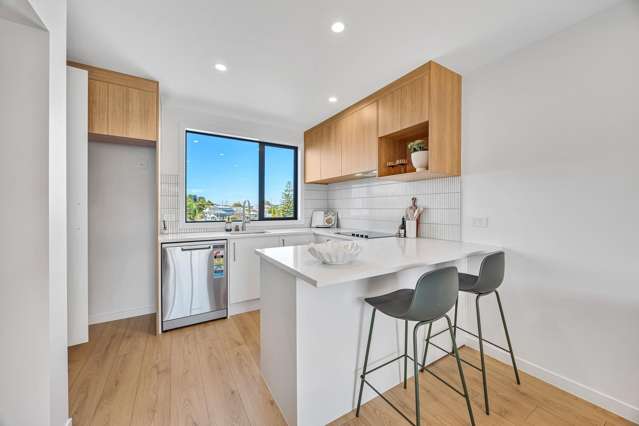 Lot 13/1 Oteha Valley Road Northcross_3