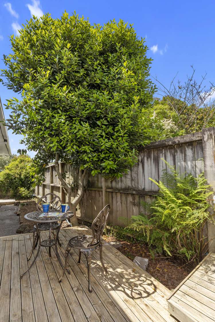 11 Winifred Avenue Bayview_18