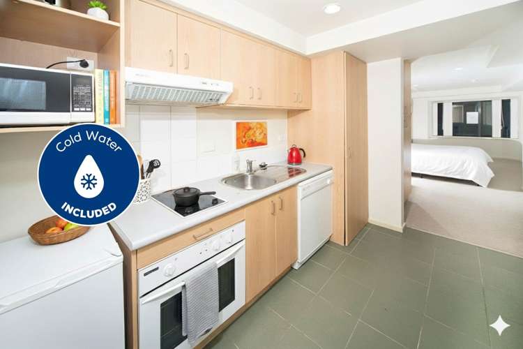 1e/2 Eden Crescent Auckland Central_0