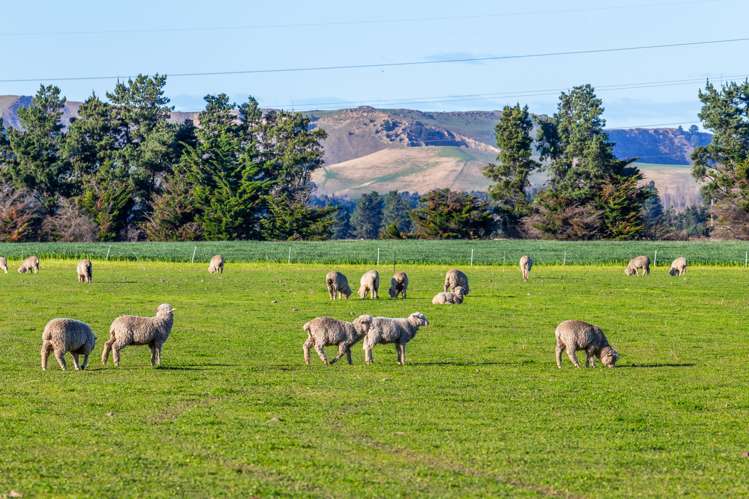 380 Waipara Flat Road Waipara_8