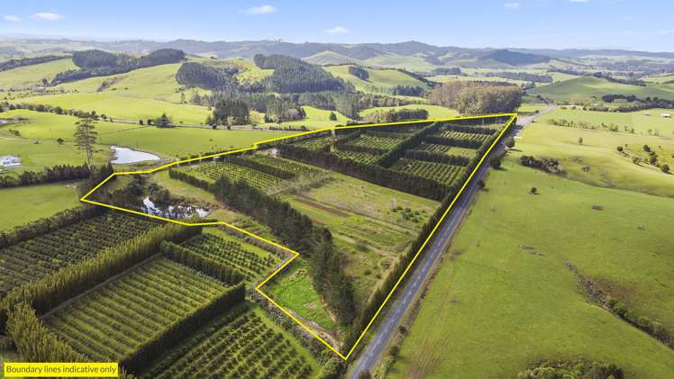 908 Te Ahu Ahu Road Waimate North_19