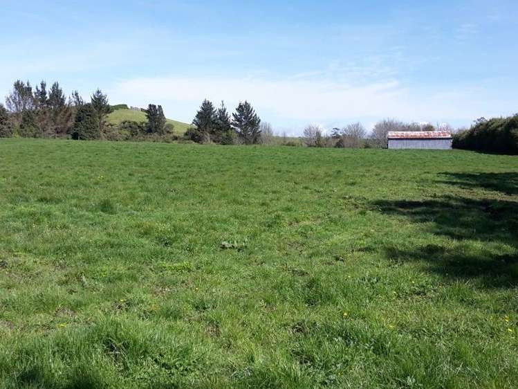 346 Rugby Road Tariki_80