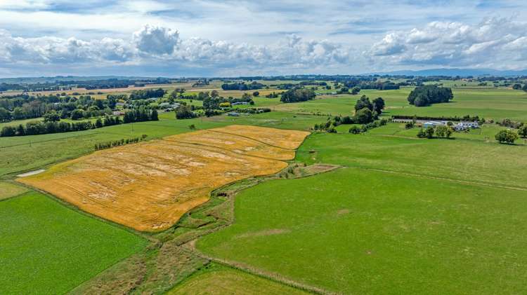 2054 Kimbolton Road Kiwitea_8