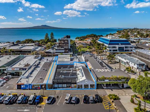 Top Quality Central Takapuna Investment