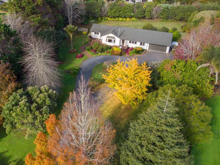 3 Limelight Lane Kerikeri_28