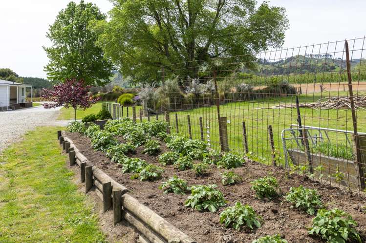 101 Pitcher Road Te Karaka_26