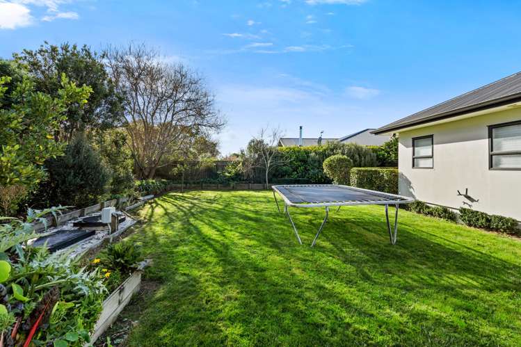 27 Napier Street Jervoistown_18