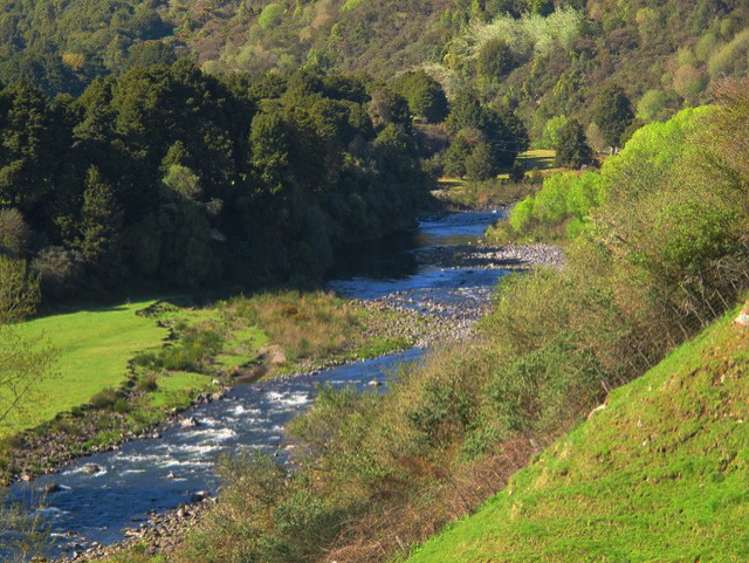 Stone Jug Road Kakahi_8