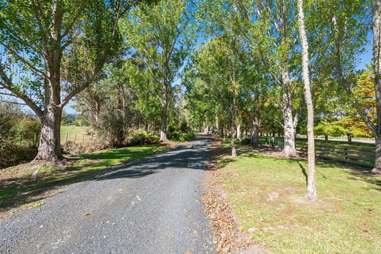 636 Kahikatea Flat Road Waitoki_56