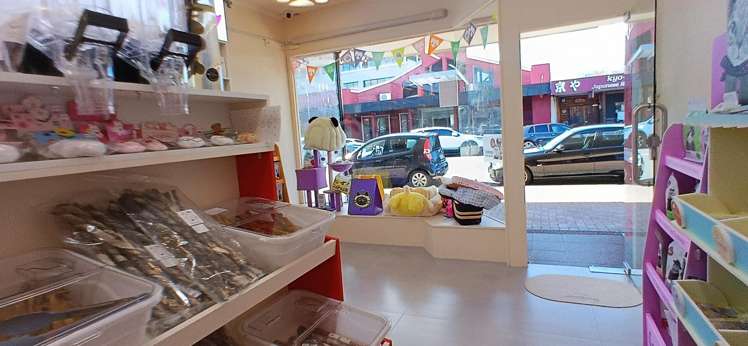 447 Lake Road Takapuna_1