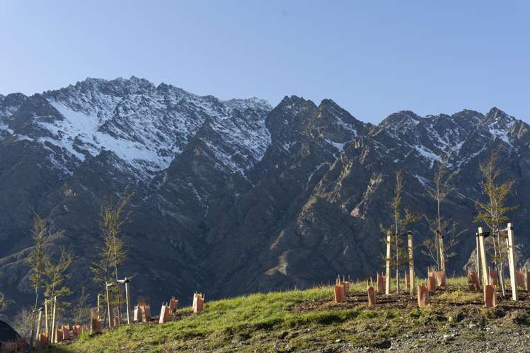 3 Escalator Avenue Jacks Point_13