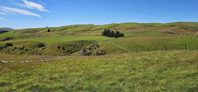 2230 Tapanui Raes Junction Highway Clutha_4