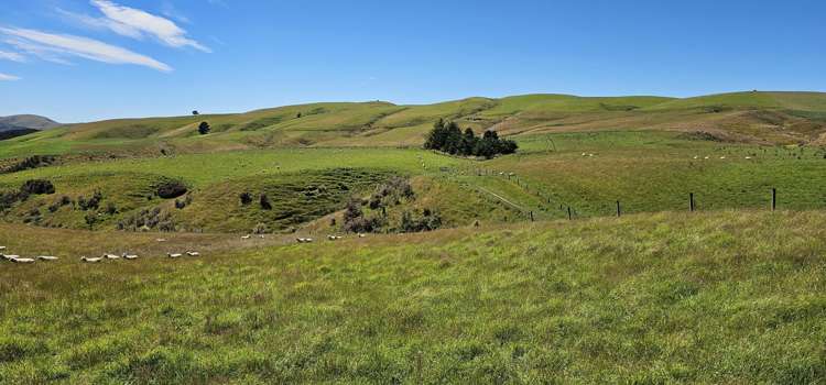 2230 Tapanui Raes Junction Highway Clutha_4