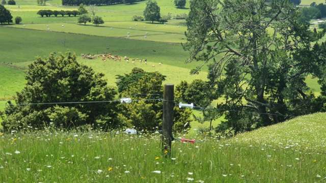 Curd Road Maungakaramea_3