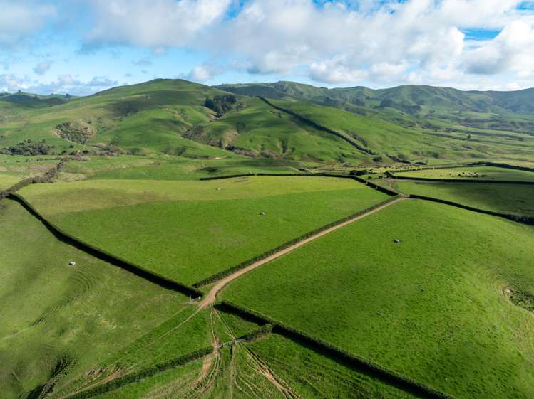 376 Starkey Road Morrinsville_17