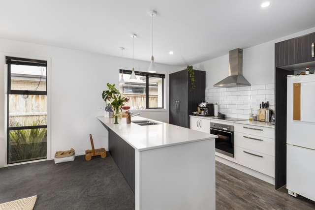 9 Camborne Crescent Blenheim Central_1