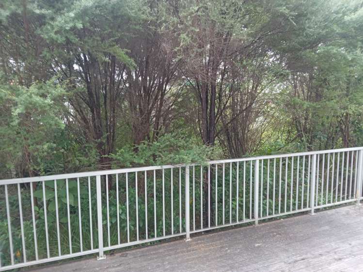 Unit A7/18 Oteha Valley Road Extension Albany_12