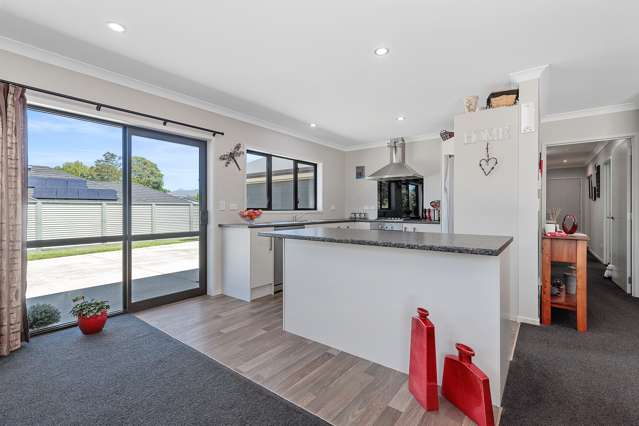 15 Allendale Place Morrinsville_1