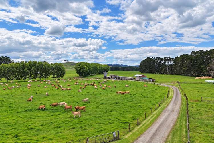 374 Rakauwahia Road Kaikohe_12