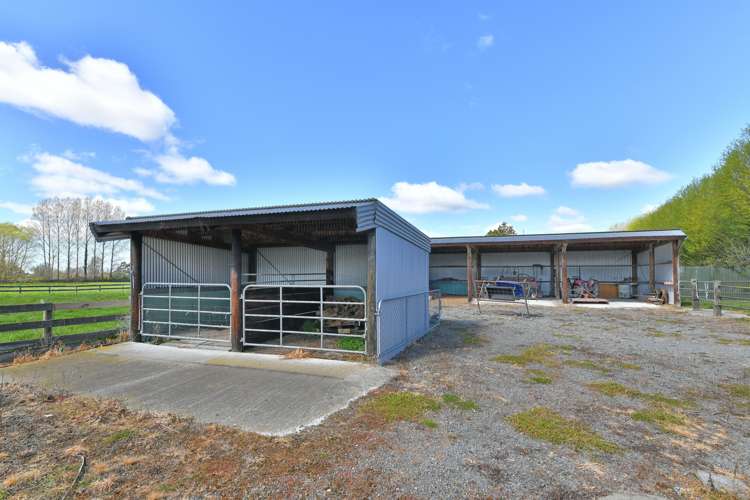 10 Lehmans Road Fernside_22